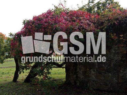 B-Herbststimmung 034.jpg